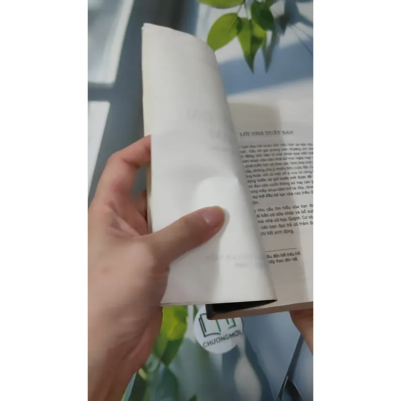 Các Triều Đại Việt Nam - Quỳnh Cư & Đỗ Đức Hùng 970265