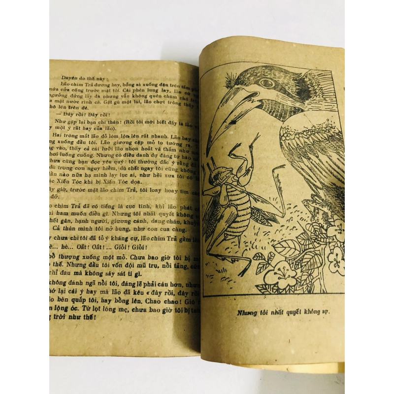 📚 DẾ MÈN PHIÊU LƯU KÍ – Tô Hoài 545969