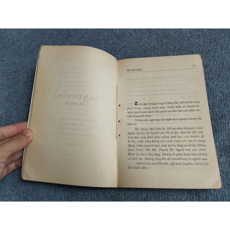 MEN ĐÁ VÀNG - HOÀNG CẦM 701915