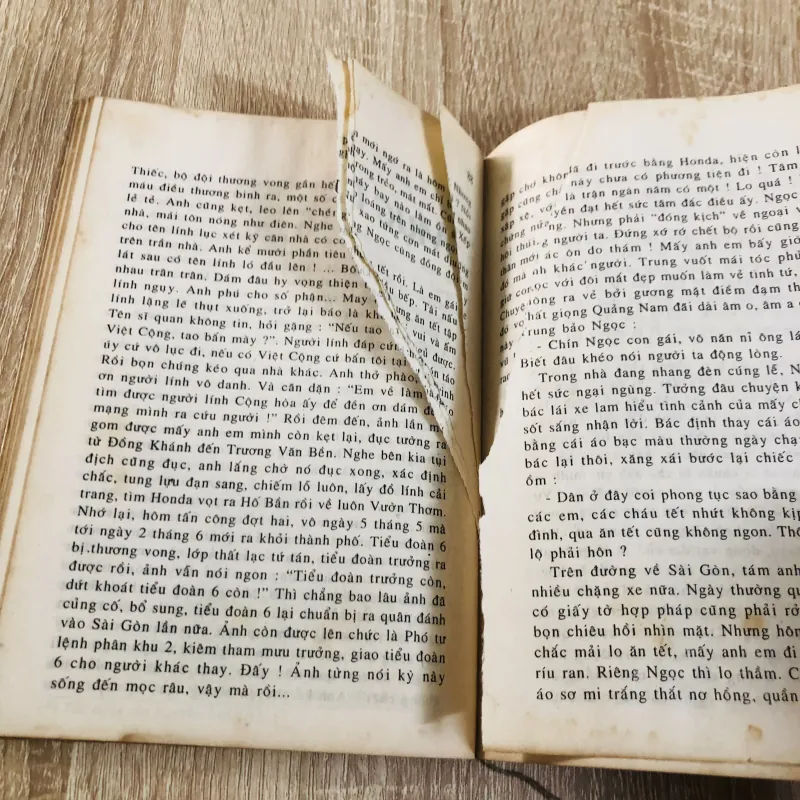 CHIẾN SĨ MẬU THÂN 929167