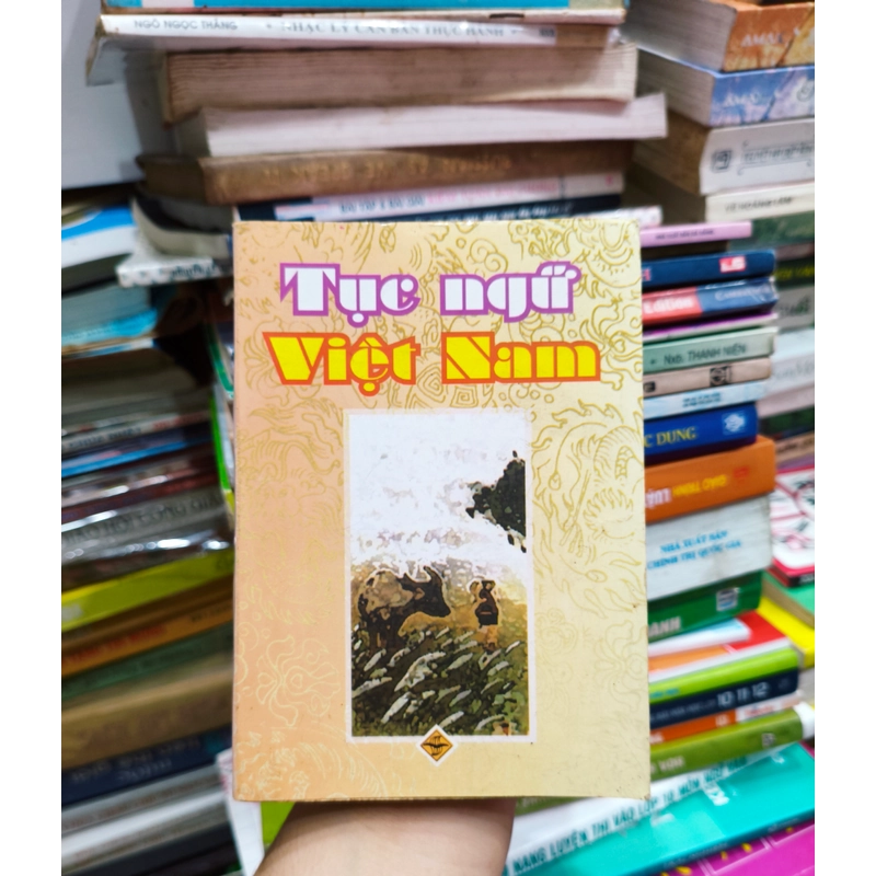 Tục ngữ Việt Nam mini 🌱 522031