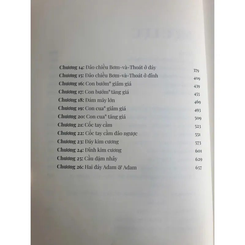 Bách Khoa Toàn Thư Về Các Loại Mẫu Hình Biểu Đồ - Tập 1 786484