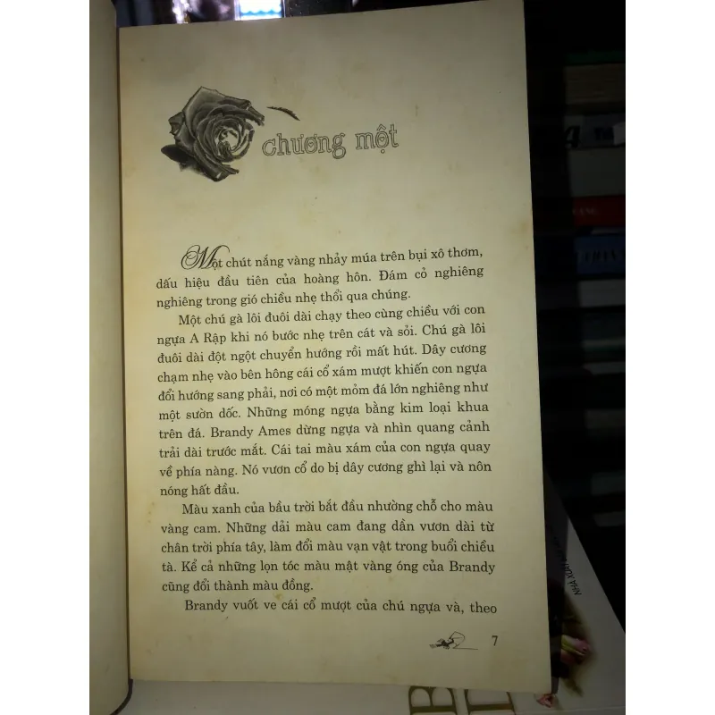 Tình là mãi mãi - Janet Dailey  994718