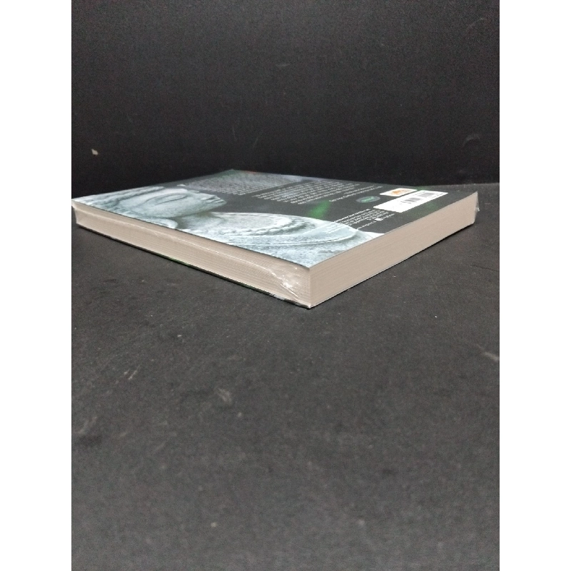 Tư tưởng phật giáo Một giới thiệu toàn diện về truyền thống Ấn Độ Paul Williams, Anthony Tribe & Alexander Wynne mới 100% HCM.ASB2410 917867