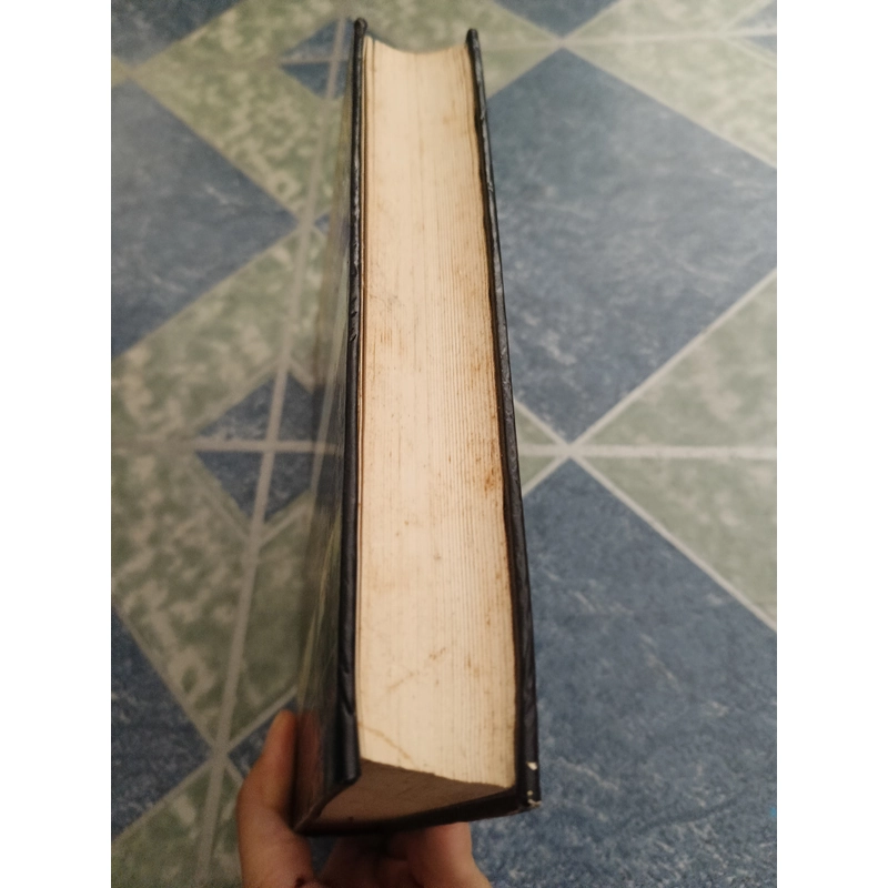 Bông hồng vàng và bình minh mưa - K. G. Paustovsky 510022