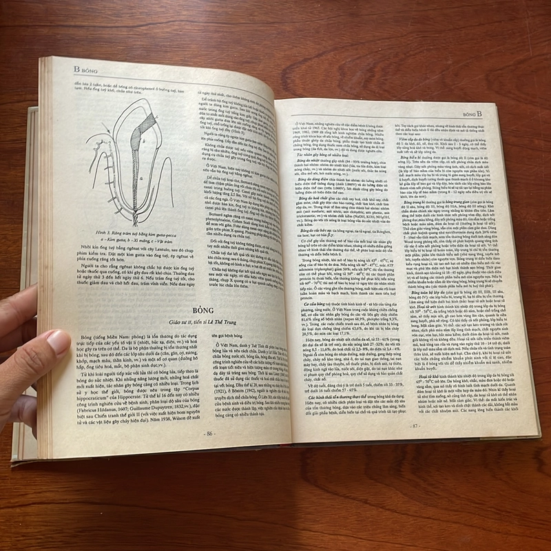 II Sách Y Học: Bách Khoa Thư Bệnh Học (Tập 1) - 1991 505990