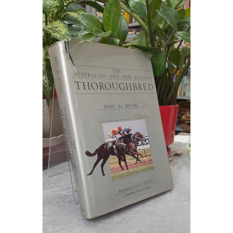 THE AUSTRALIAN AND NEW ZEALAND THOROUGHBRED 385892