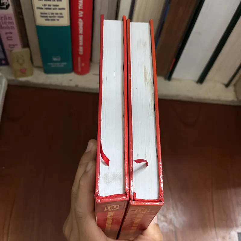 II Chủ Tịch Hồ Chí Minh Và Đại Tướng Võ Nguyễn Giáp _ Hai Con Người Làm Nên Huyền Thoại 718047