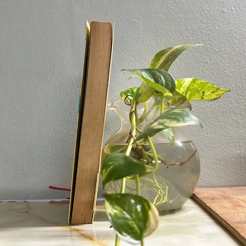 Con sâu tình yêu của con mèo trừu tượng - Nhĩ Nhã 750731