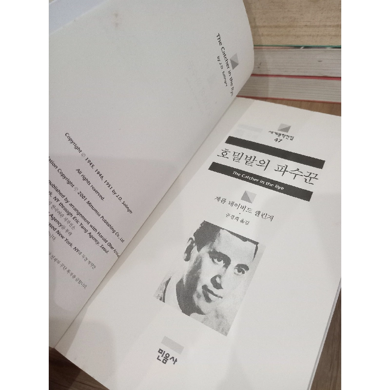 Sách tiếng Hàn 7: The Catcher in the Rye - J.D. Salinger 730793