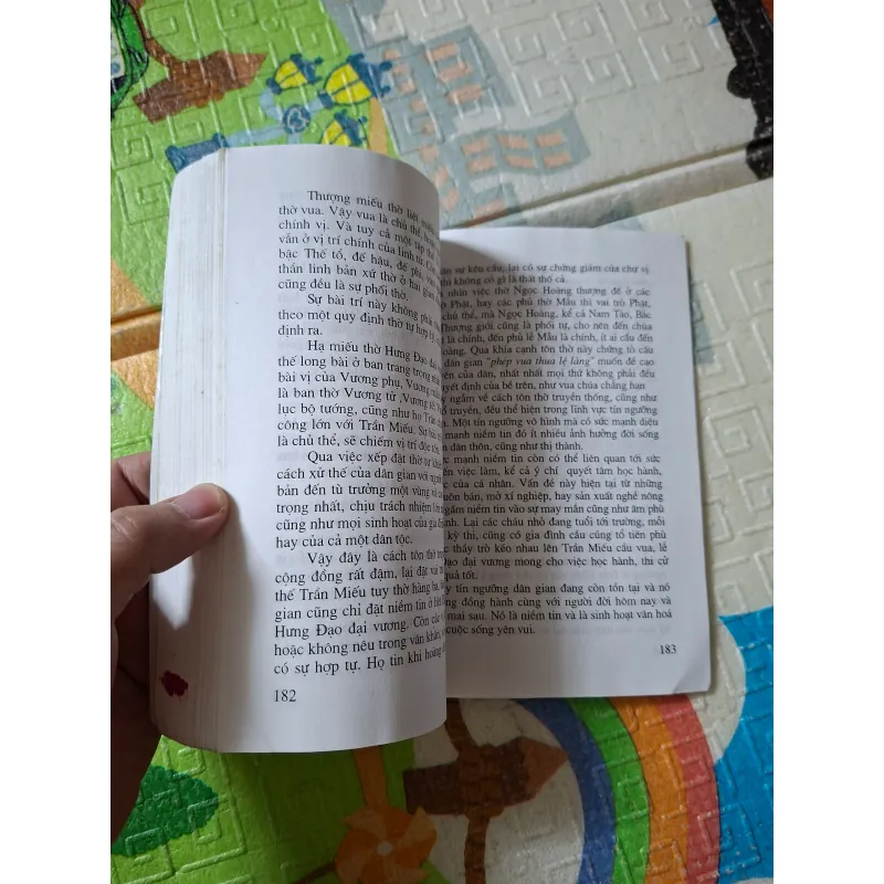 TRẦN MIẾU (Đền Trần - Nam Định), Di Sản Và Tín Ngưỡng Dân Gian 929540