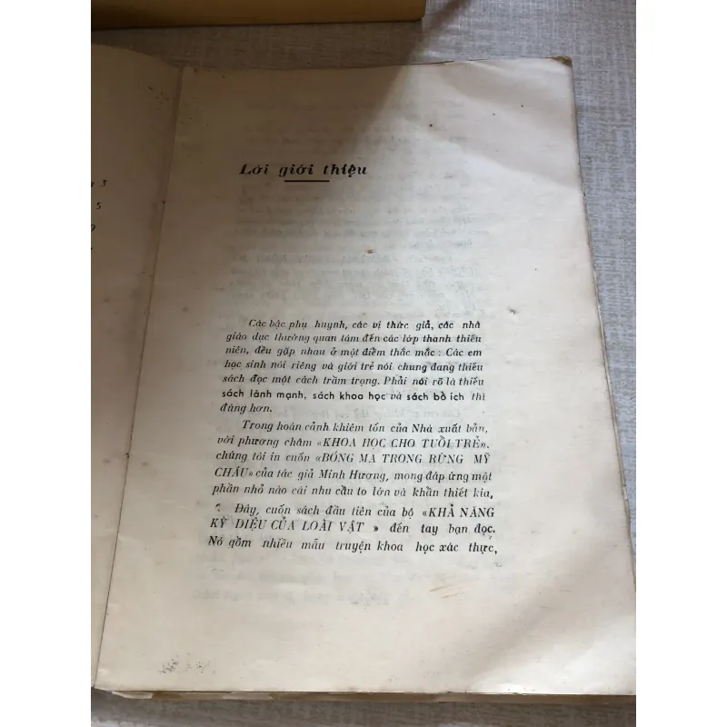 Bóng ma trong rừng Mỹ Châu 992440