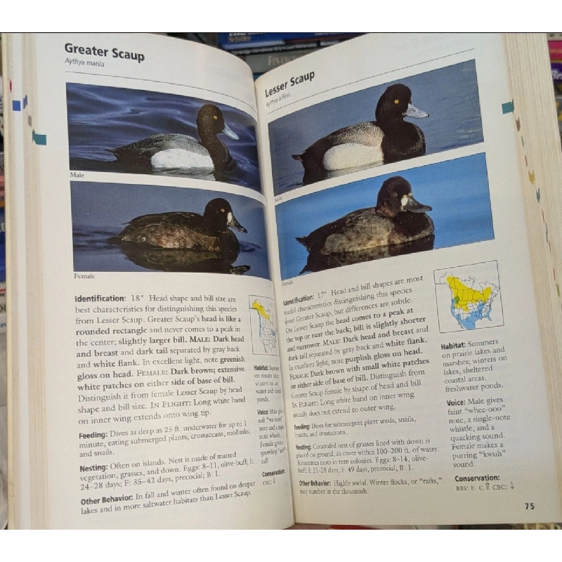 Stokes Field Guide To Birds - Donald and Lillian Stokes 1025883