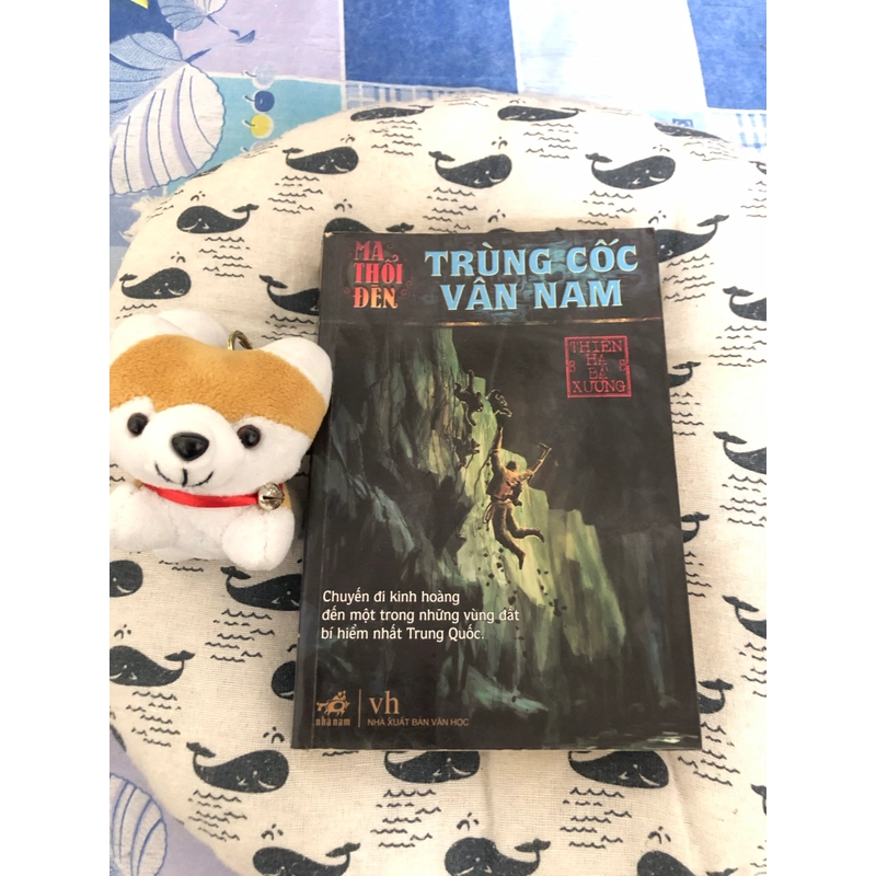 Ma Thổi Đèn - Trùng Cốc Vân Nam 552846