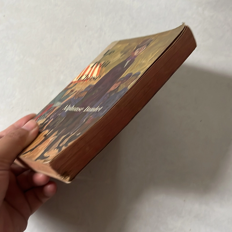 Le Petit Chose - Alphonse Daudet 541664