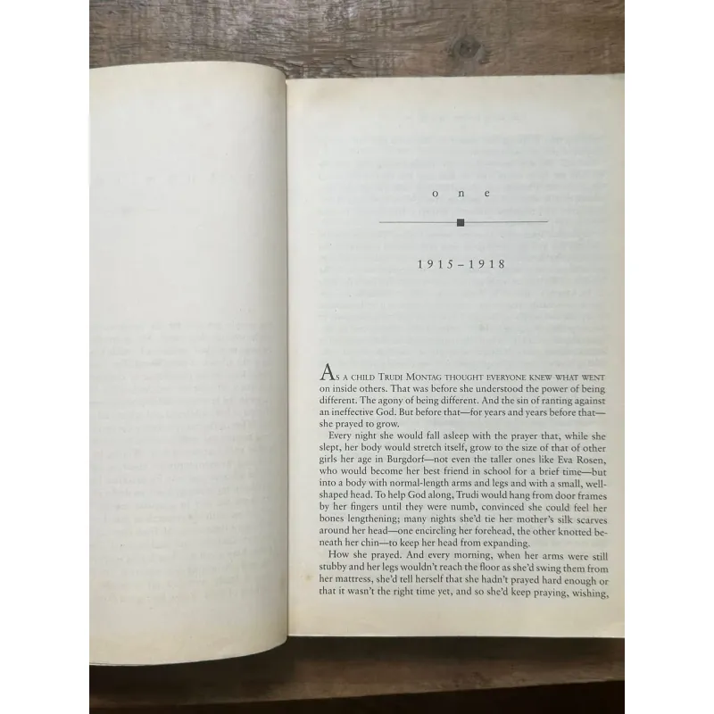 Stones from the River - Ursula Hegi 728986