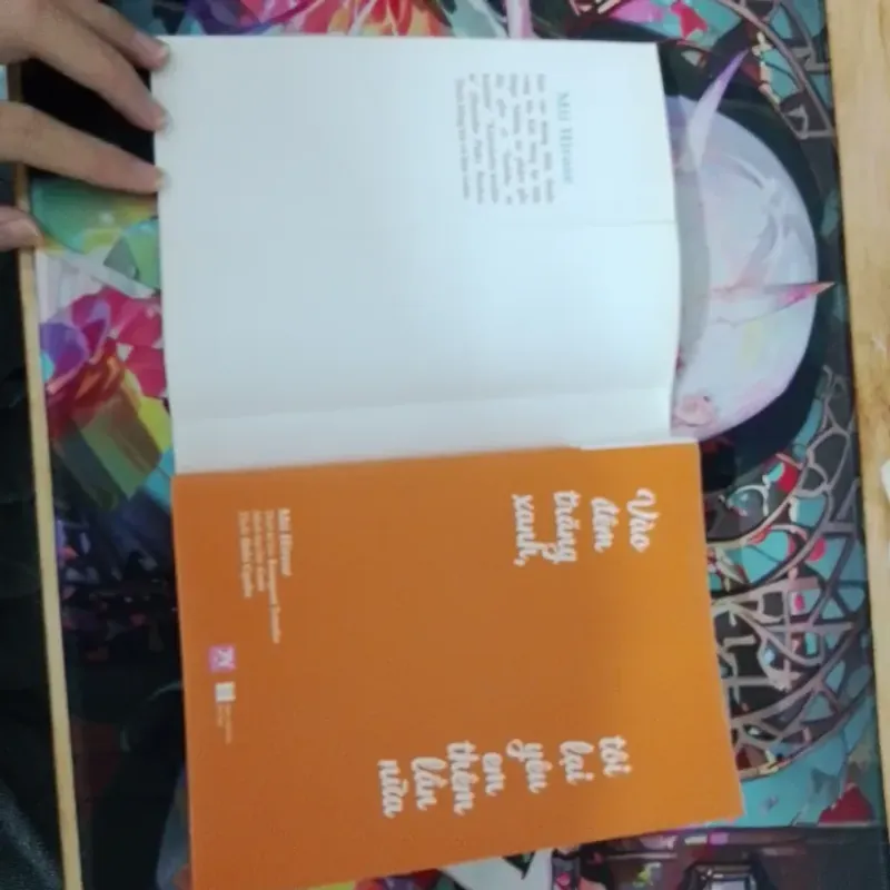 VÀO ĐÊM TRĂNG XANH TÔI LẠI YÊU EM THÊM LẦN NỮA LIGHT NOVEL 761942