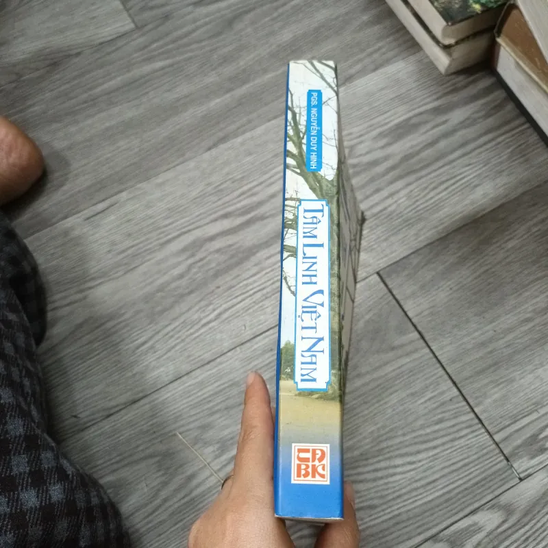 Tâm Linh Việt Nam - PGS. Nguyễn Duy Hinh 782337