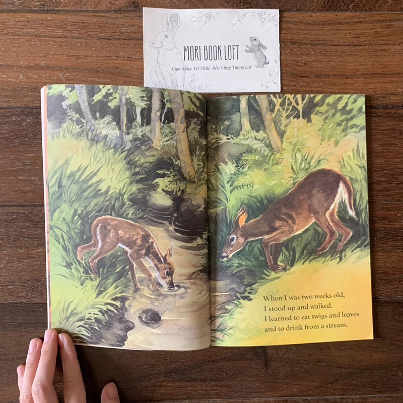 Sách ngoại văn Once Upon a Springtime, Used, minh họa đẹp 522853