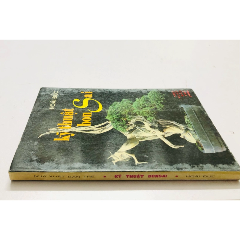KỸ THUẬT BONSAI  447856