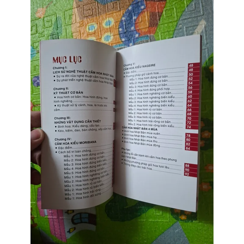 Nghệ thuật Cắm hoa Nhật Bản 1019034