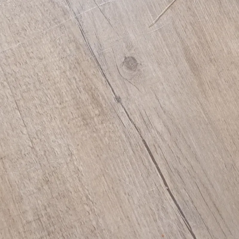 Sáu lần gặp người đứng đầu nước Nga V. putin 697956