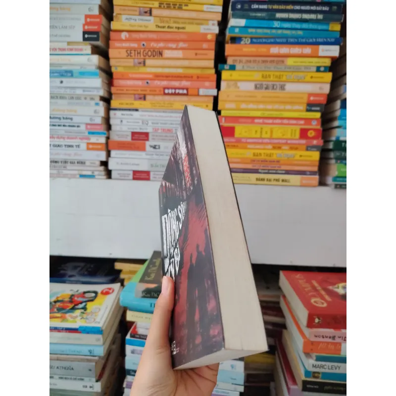 Những cô gái tinh hoa 🌱 972739