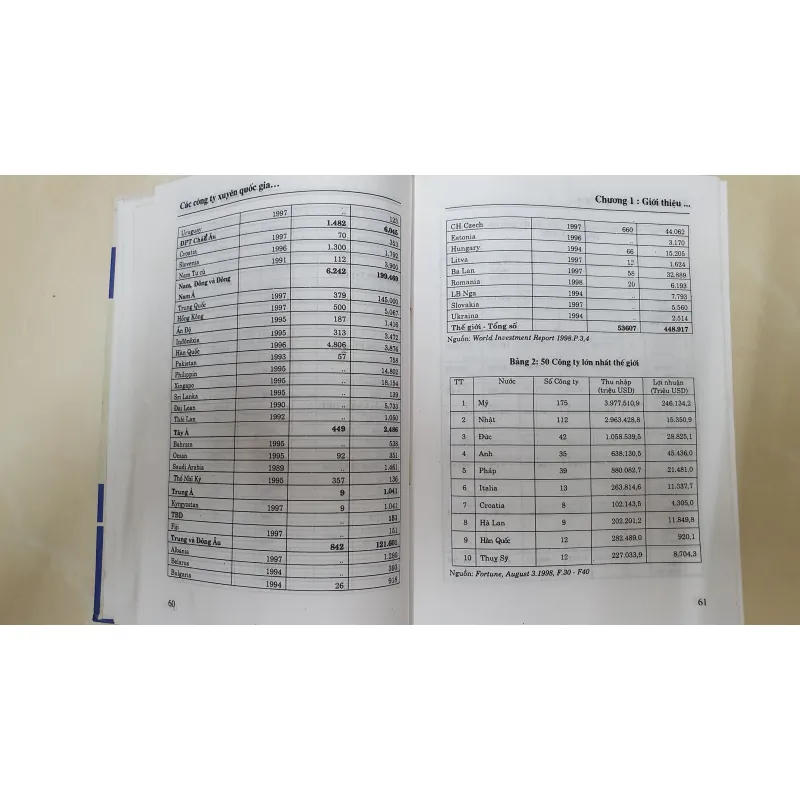 CÁC CÔNG TY XUYÊN QUỐC GIA  1007058