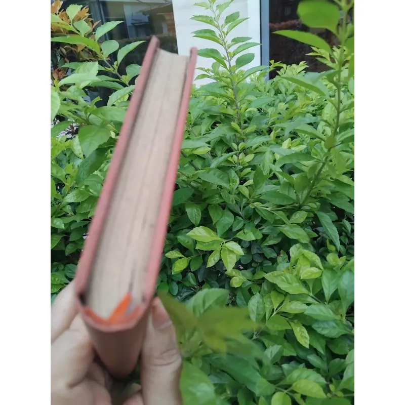 Các vĩ nhân tỉnh lẻ tập truyện của Dương Thu Hương 974254