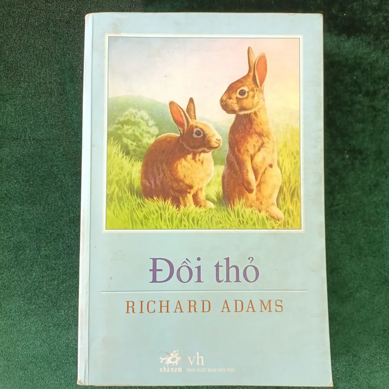 Đồi thỏ    589112