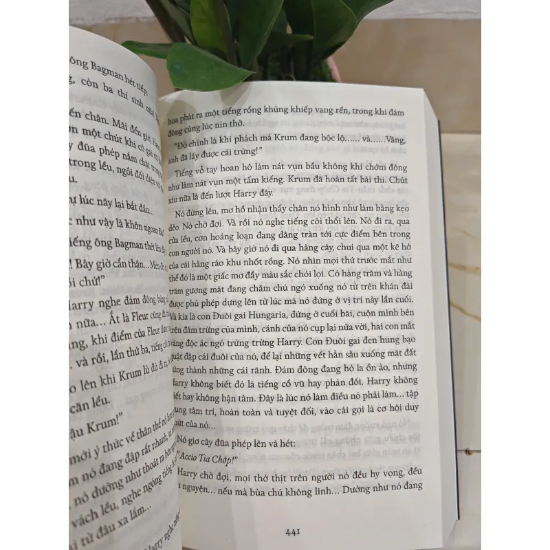 Harry Potter TẬP 4 781996