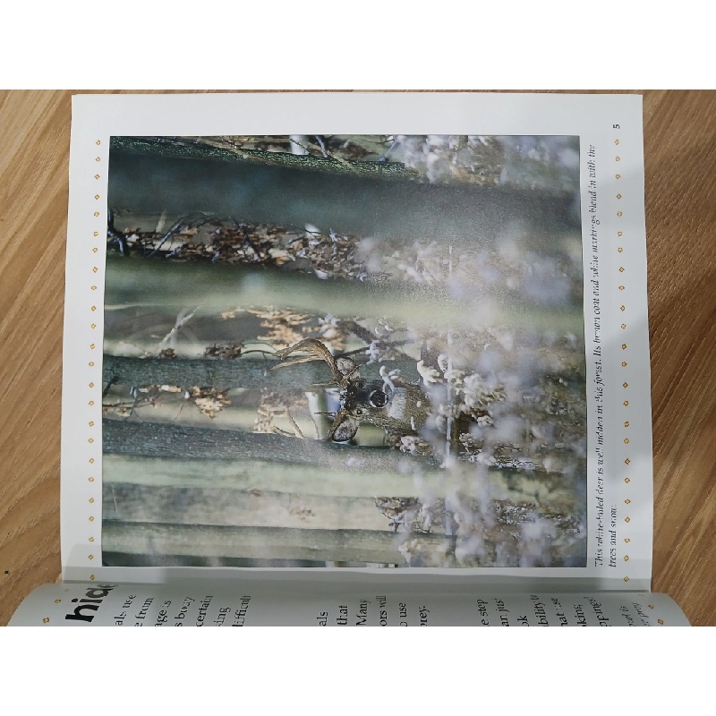 What are Camouflage and Mimicry? - Bobbie Kalman 547747