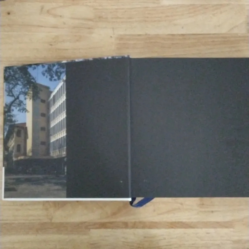 Kiến trúc hiện đại miền nam Việt Nam (BÌA CỨNG) 700547