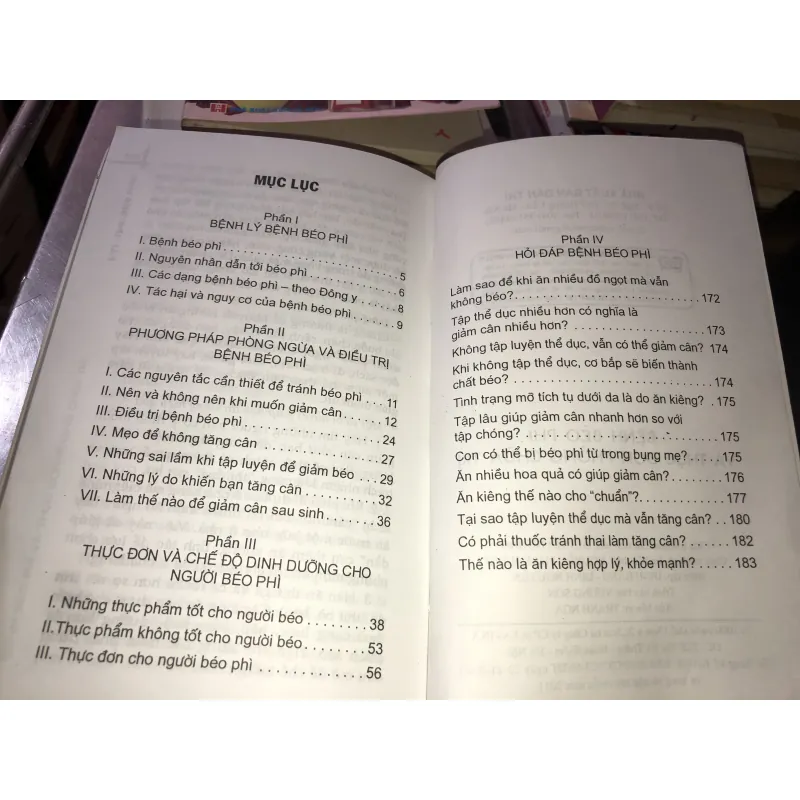 Bệnh béo phì & thực đơn phòng chữa trị - Hải Minh 1029275