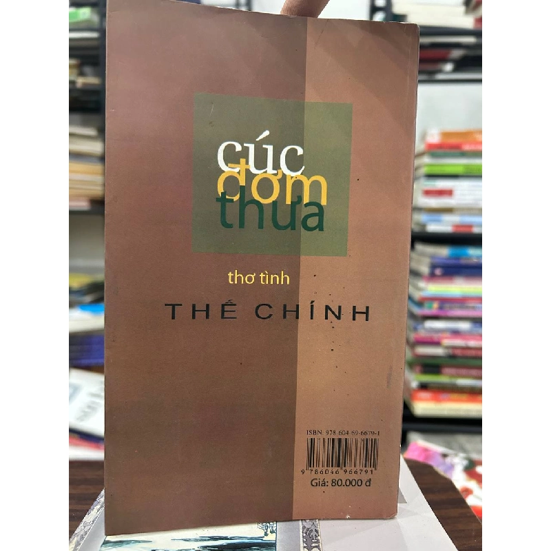 Cúc Dại Thua - Thế Chính 935154