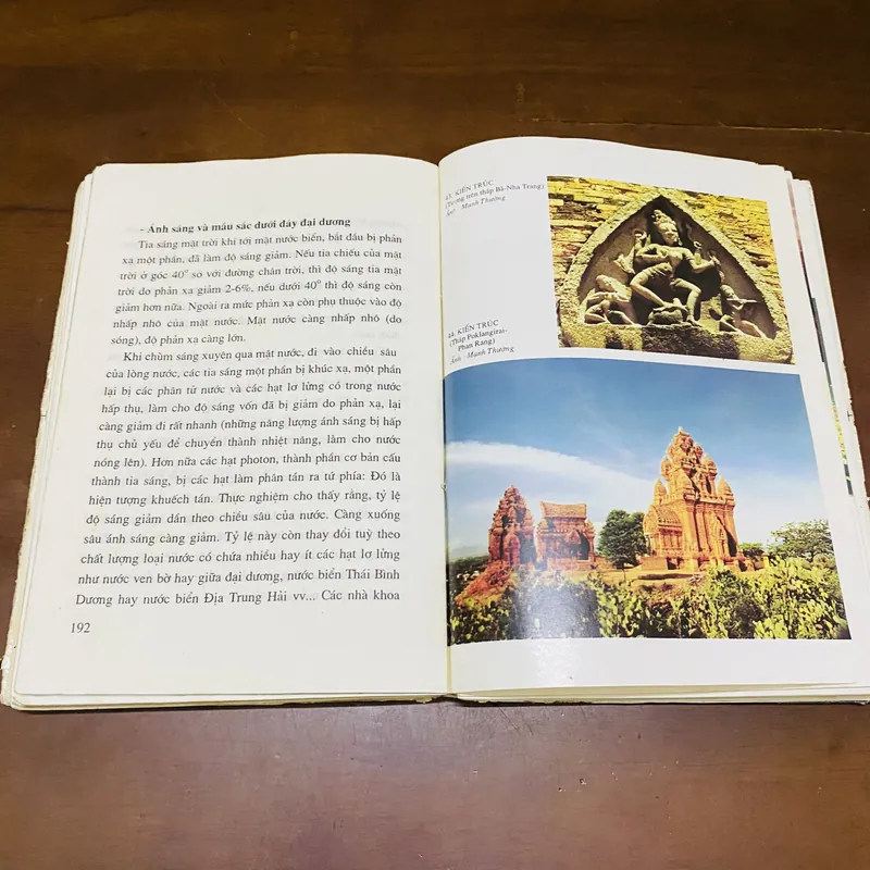 Nghệ thuật nhiếp ảnh màu - Trần Mạnh Thường 605172