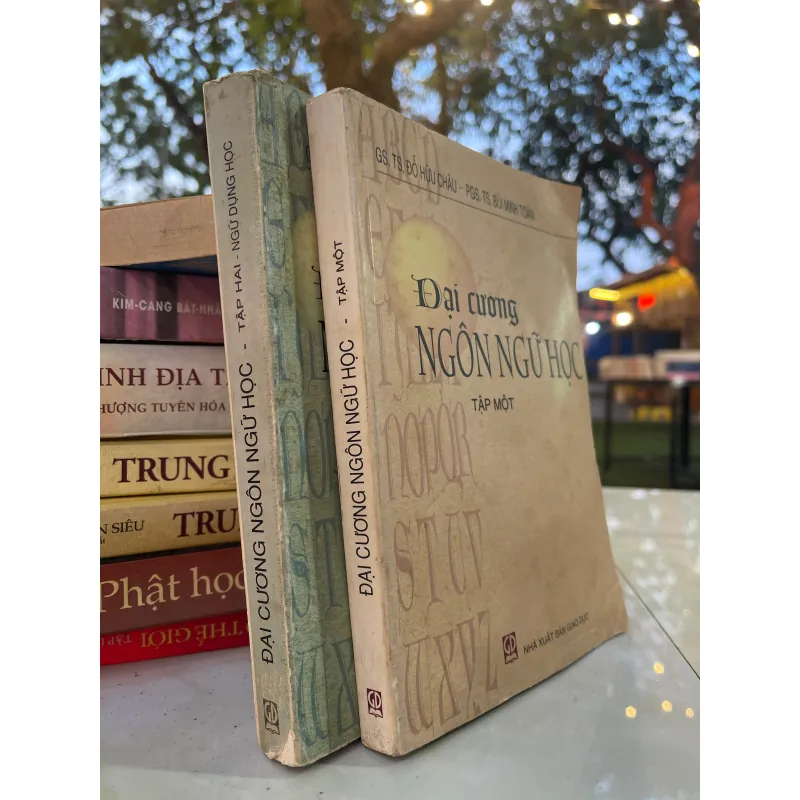 ĐẠI CƯƠNG NGÔN NGỮ HỌC (2 TẬP) - ĐỖ HỮU CHÂU  1028724