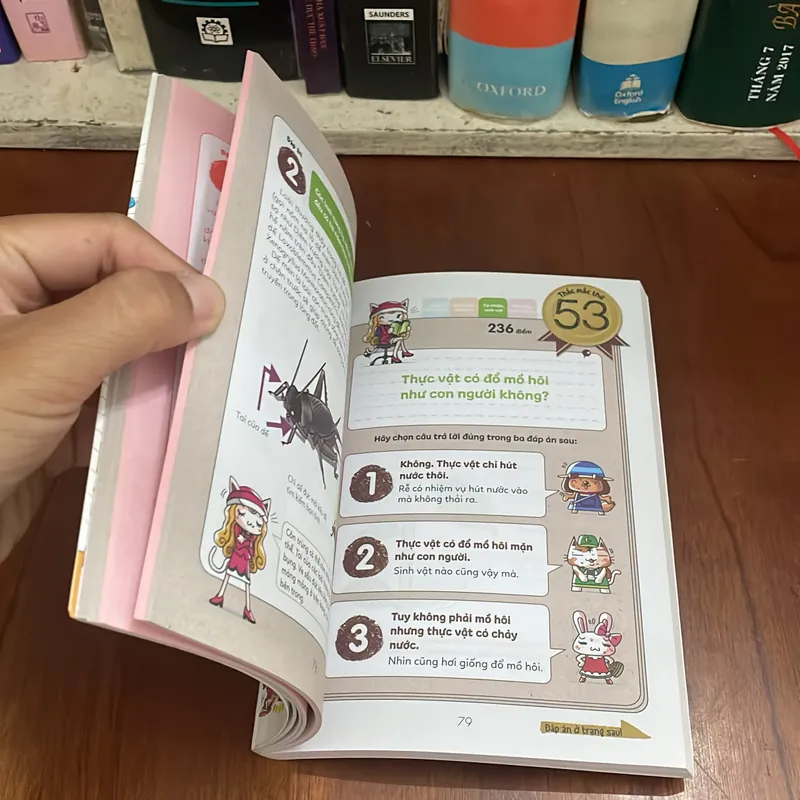 II Sách Thiếu Nhi: Tuyển Tập _ Câu Hỏi Của Học Sinh Tiểu Học (4 Quyển) - 2017 553357