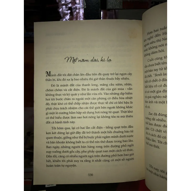 “Gái Tây ế” ở Hà Nội - Carolyn Shine  994239