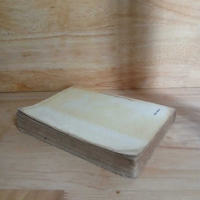 Tiểu Thuyết Nữ Thần Hạnh Phúc - Nghiêm Lệ Quân 565041