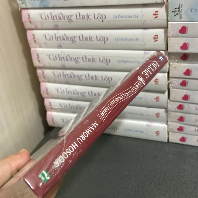 (Light novel) - Belle Rồng và công chúa tàn nhang - Mamoru Hosoda 990672