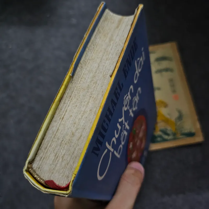 Chuyện dài bất tận bìa cứng 733987