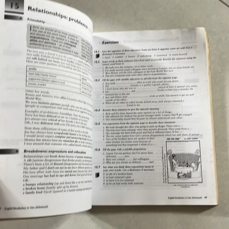 English Vocabulary in Use  602529