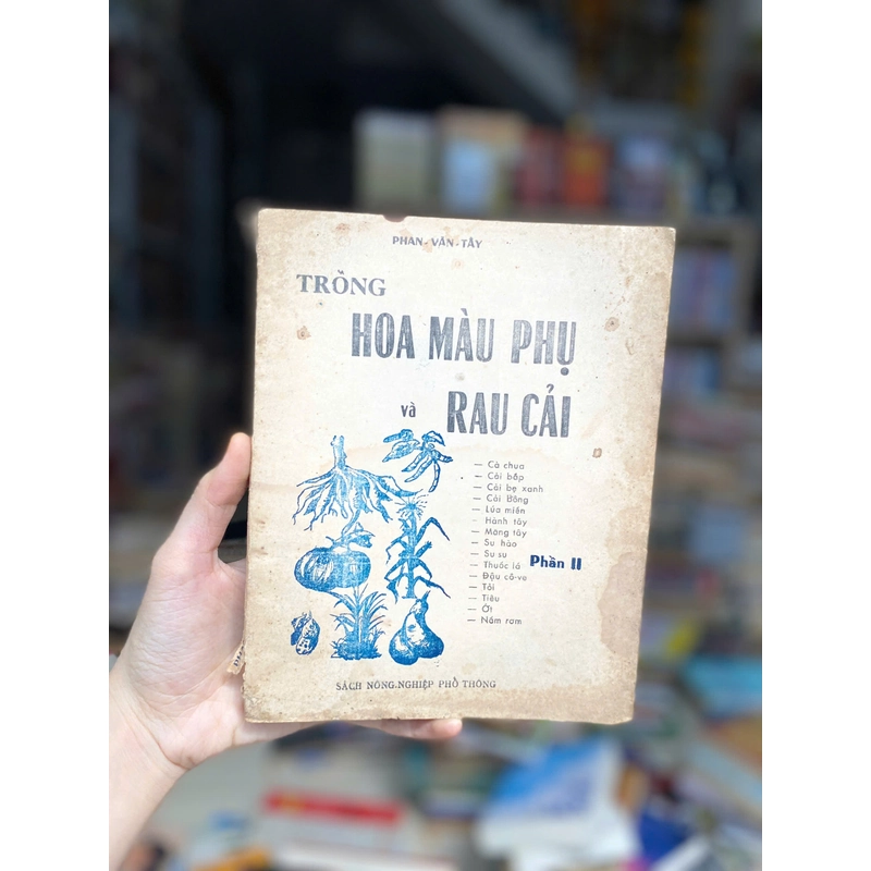Trồng Hoa Màu Phụ Và Rau Cải 470868