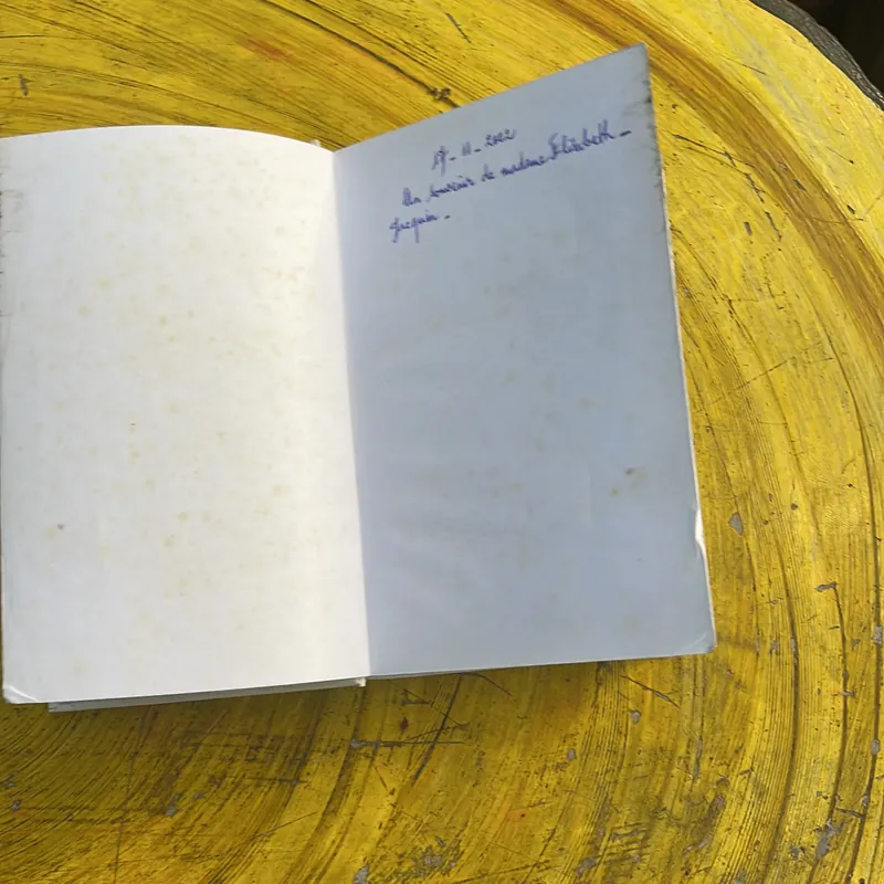 DICTIONNAIRE DESS SYNONYMES LES DICOS D’OR 735015