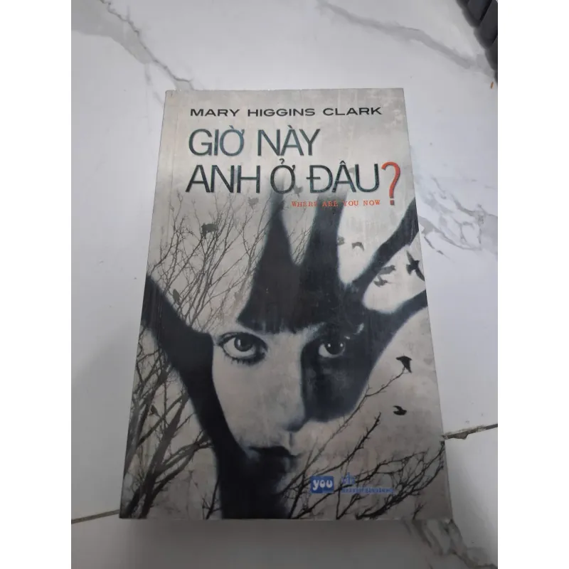 Giờ này anh ở đâu? (Where Are You Now?) - Mary Higgins Clark 605750