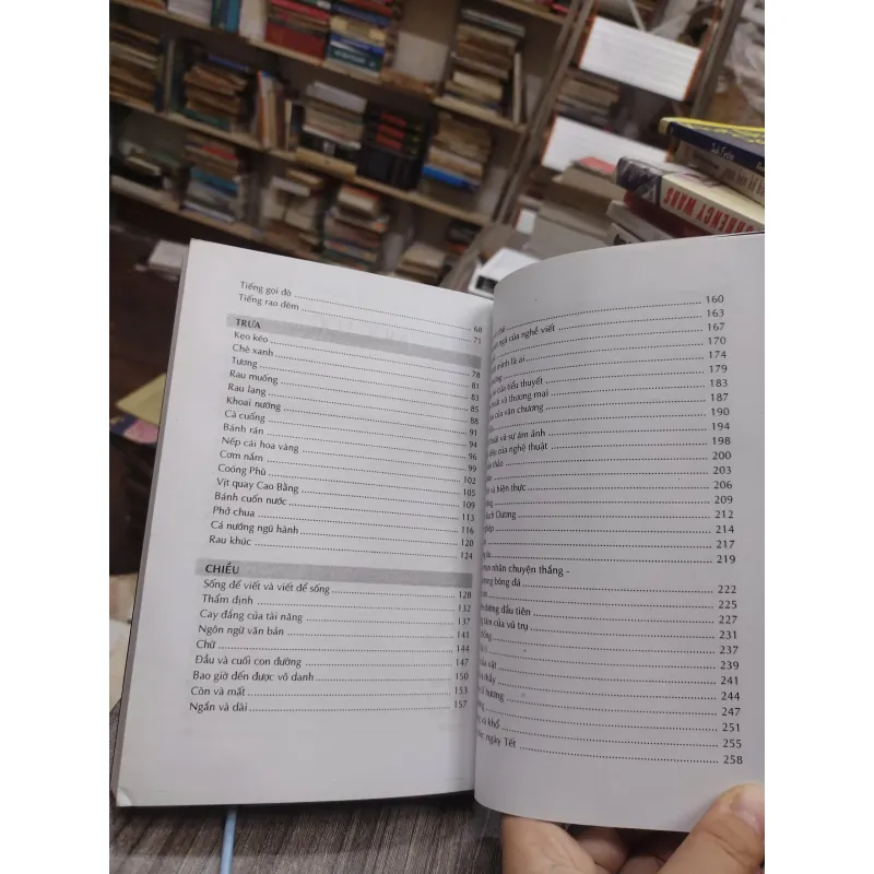 Sách: Ngẫu hứng sáng trưa chiều tối (A1) - Tác giả: Tạ Duy Anh 674527