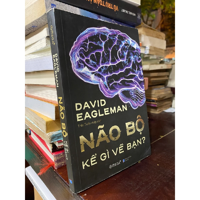 Não bộ kể gì về bạn - David Eagleman 131228
