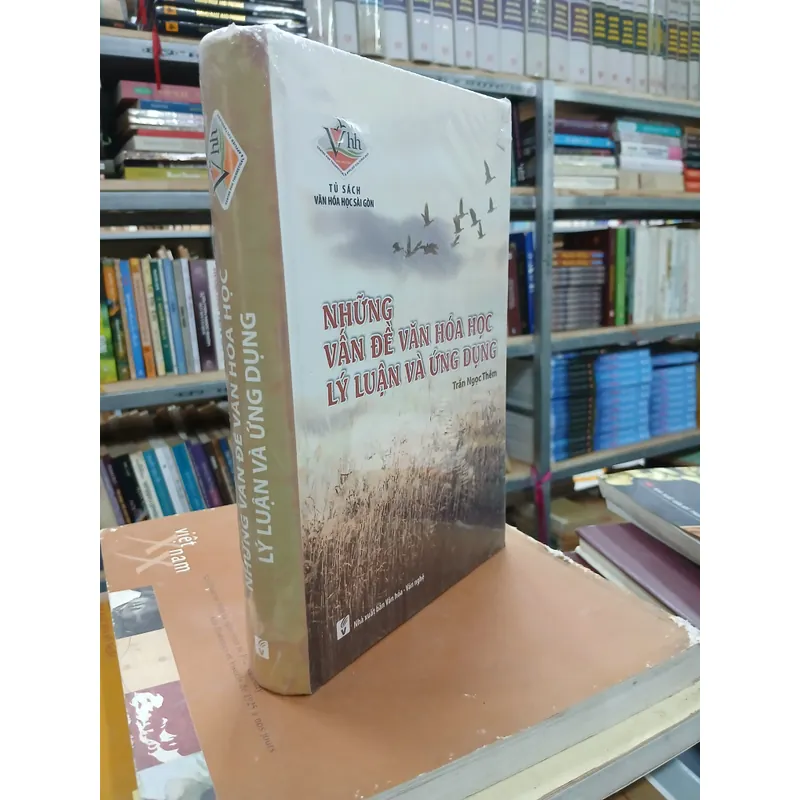 NHỮNG VẤN ĐỀ VĂN HÓA HỌC LÝ LUẬN VÀ ỨNG DỤNG - TRẦN NGỌC THÊM 719751