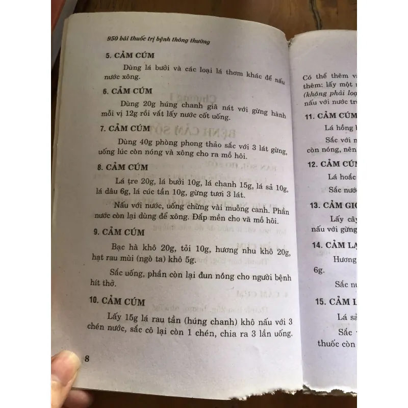 950 bài thuốc trị bệnh thường gặp 1000586